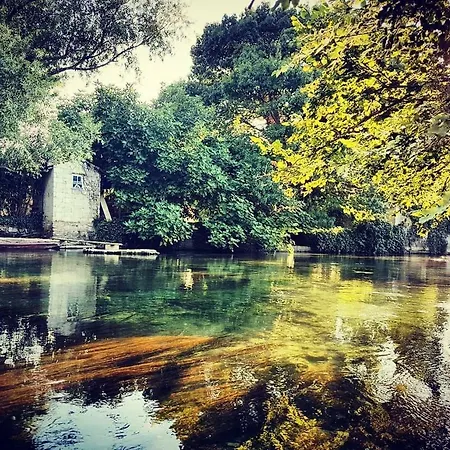 Mas Et De La Picholine L'Isle-sur-la-Sorgue